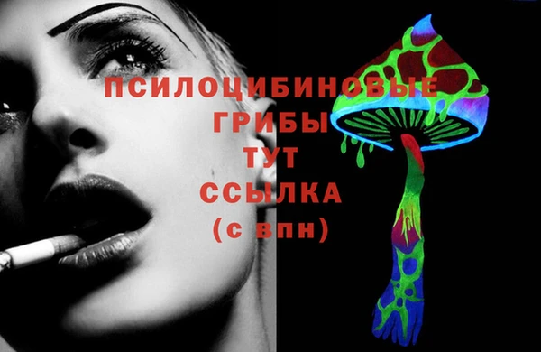 гашик Абинск