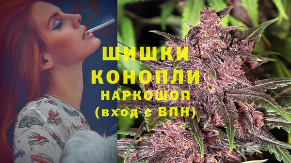 спиды Корсаков