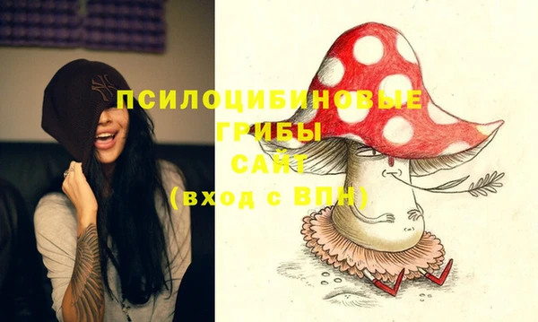 гашик Абинск